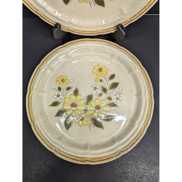 Crown Manor Handpainted Stoneware Spring Daisy 10 1/2" Dinner Plate Set of 2 - Picture 5 of 7